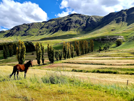 Eastern Cape Highlands Passes and some secret places